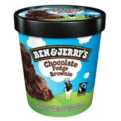 BEN JERRYS CHOC FUDGE BROWN FTNG 458ML